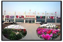 龍泉街道辦事處[山東省滕州市龍泉街道辦事處]