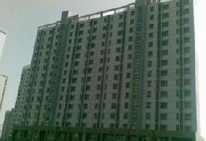 丁香家園 丁香家園