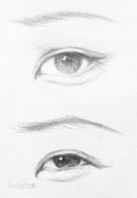 五官[面部特徵]