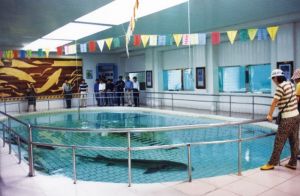 宜昌中華鱘園 宜昌中華鱘園