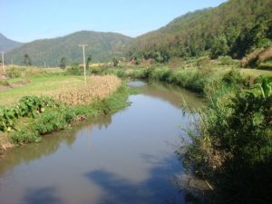 老徐寨村 老徐寨村