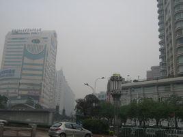 中新花園 中新花園