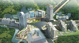 南大街街道[重慶市永川區南大街街道]