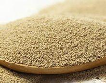 發麵酵母 發麵酵母