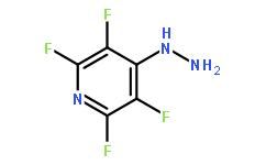 四氟代肼 四氟代肼