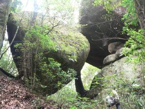 福建君子峰國家級自然保護區