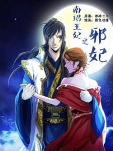 南詔王妃之邪妃 南詔王妃之邪妃