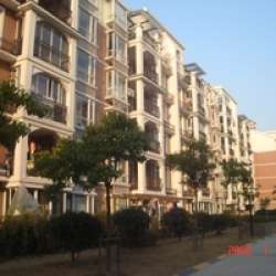 羅山花苑 羅山花苑