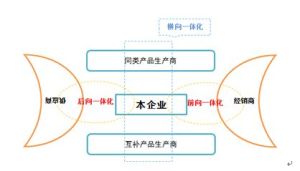 橫向一體化戰略 橫向一體化戰略