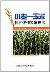 小麥-玉米複種連作關鍵技術 小麥-玉米複種連作關鍵技術