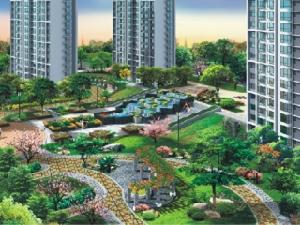 衡山舒苑 衡山舒苑