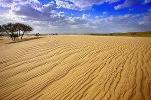 錫林郭勒草原南端