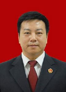 陳振興[天津市濱海新區人民檢察院代理檢察長]