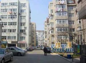 青啤花園 青啤花園