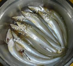 凍沙尖魚 凍沙尖魚