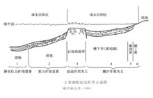 碳酸鹽岩沉積體系