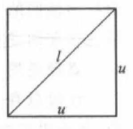 無公度線段 無公度線段