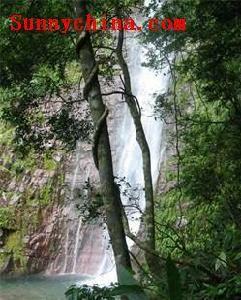 廣西大平山自然保護區 廣西大平山自然保護區