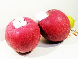 世界一號蘋果 世界一號蘋果
