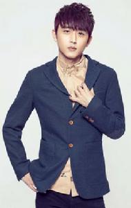 韓野[中國內地流行樂男歌手、影視演員]