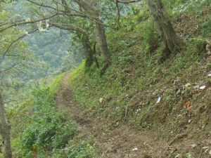 後山一村 後山一村