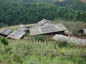 小丫口自然村 小丫口自然村