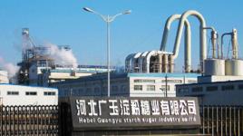 河北廣玉澱粉 河北廣玉澱粉