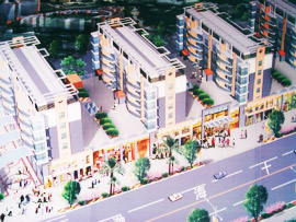 市西街道 市西街道