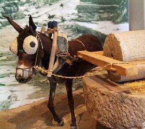 雷鮑夫法則 雷鮑夫法則