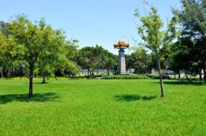 竹南運動公園