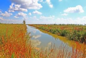 鹽城丹頂鶴濕地生態旅遊區 鹽城丹頂鶴濕地生態旅遊區