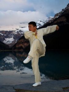 武術套路 武術套路