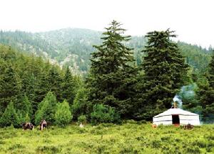 安徽橫山國家森林公園