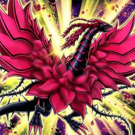 月華龍黑薔薇 月華龍黑薔薇