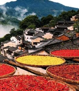 婺源篁嶺曬秋 婺源篁嶺曬秋