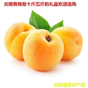 多彩旅行 多彩旅行