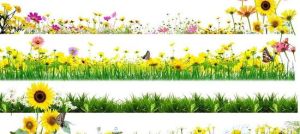 田園花圃 田園花圃