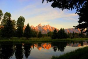 德娜莉國家公園 德娜莉國家公園