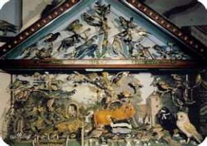 沃爾特波特 沃爾特波特