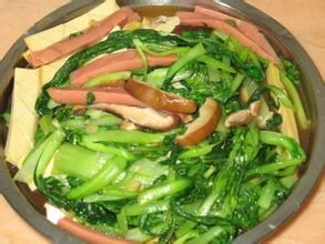 京式熗油菜 京式熗油菜