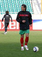 弗里頓&middot;贊迪