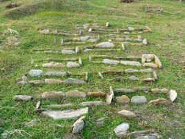大伊山石棺墓 大伊山石棺墓