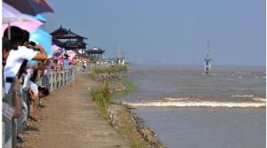 傳說中的“丁字潮”