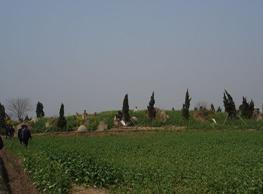 九里一千墩漢墓群