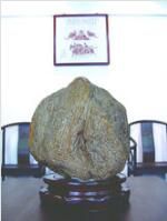 瑤池壽桃 水沖矽化木