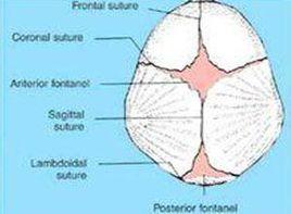 前囟張力增高 前囟張力增高