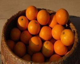 西港化紅 西港化紅