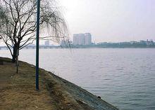 白河南陽市區堤防