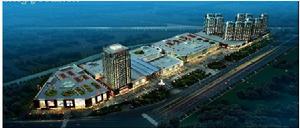 凱利MALL 凱利MALL