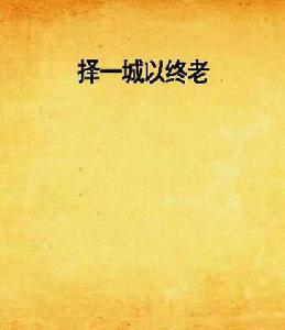 擇一城以終老 擇一城以終老